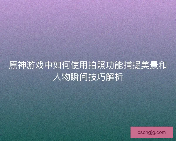 原神游戏中如何使用拍照功能捕捉美景和人物瞬间技巧解析