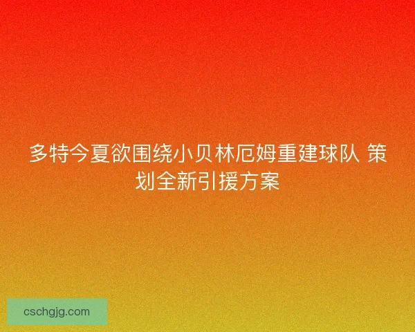 多特今夏欲围绕小贝林厄姆重建球队 策划全新引援方案
