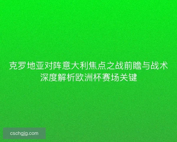 克罗地亚对阵意大利焦点之战前瞻与战术深度解析欧洲杯赛场关键